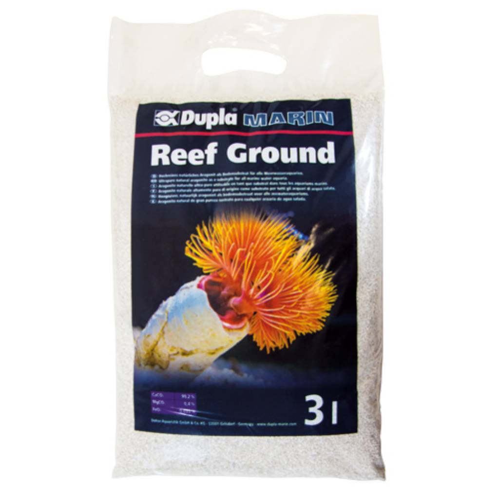 Reef Ground